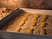 Cat’s Tongue Biscuits